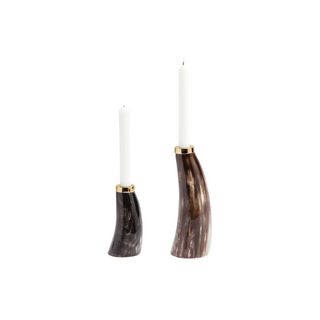 Mixed Horn Candle Holder, Set of 2